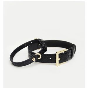 Jelly Wynne Dog Collar - large